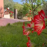 Casa vacanze Ey House