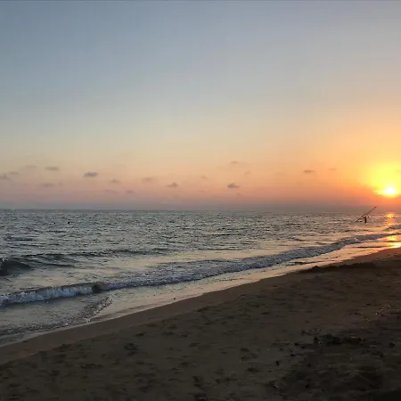 Ey House * Halikounas